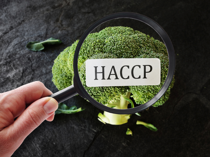 Lupa HACCP sobre brocolos